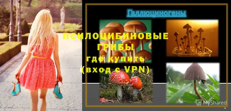 Псилоцибиновые грибы Magic Shrooms  Спасск-Рязанский 